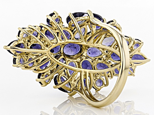 8.00ctw Mixed Shapes Iolite 18k Yellow Gold Over Silver Cluster Ring - Size 7