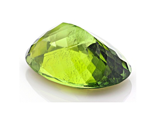 Green Tourmaline 18x13mm Oval 12.05ct