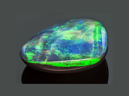 Black Opal 13.4x10.61mm Free Form Cabochon 3.73ct