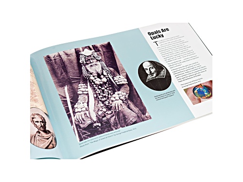 The Opal Story : A  Guidebook With DVD   Written By Andrew & Damien Cody