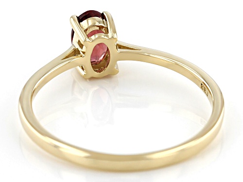 0.45ct Oval Garnet 10k Yellow Gold Ring - Size 9