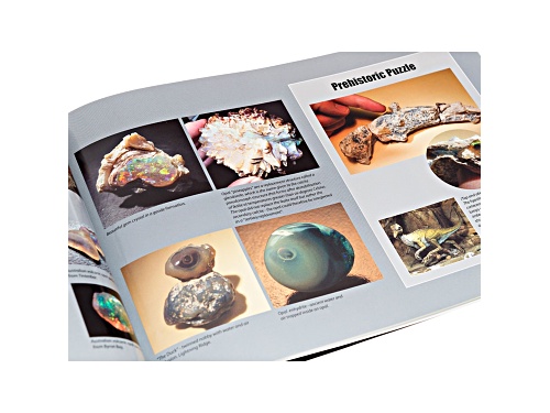The Opal Story : A  Guidebook With DVD   Written By Andrew & Damien Cody