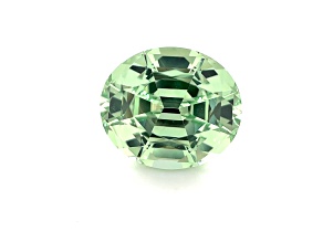 Merelani Mint Garnet 11.4x10.0mm Oval 5.58ct