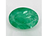 Zambian Emerald 8.02x5.93mm Oval 1.13ct