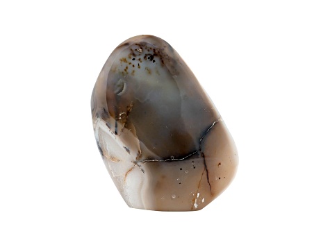 Dendritic Agate Free-Form 6x5in