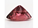 Pink Tourmaline 13.3x10.9mm Oval 6.28ct