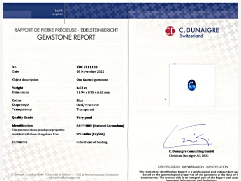 Sapphire Loose Gemstone 11.94x8.95mm Oval 6.03ct