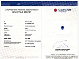 Sapphire Loose Gemstone 11.94x8.95mm Oval 6.03ct