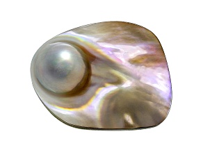 Cultured Saltwater Blister Pearl 39x31.5mm