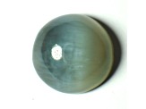 Nephrite Jade Cat's Eye 6.6mm Round Cabochon 0.99ct