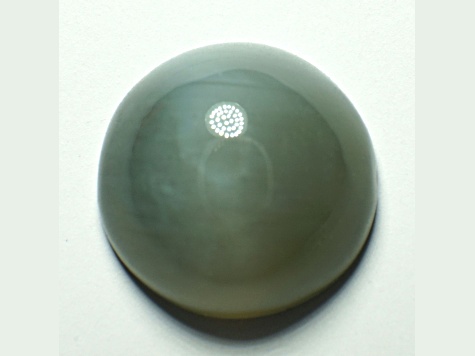 Nephrite Jade Cat's Eye 6.6mm Round Cabochon 0.99ct