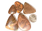 Boulder Opal Free-Form Cabochon Set of 5 208ctw
