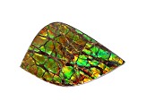 Ammolite Doublet 20.452x12.86mm Free-Form 6.03ct