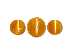 Fire Opal Cat's Eye Round Matched Set of 3 3.37ctw