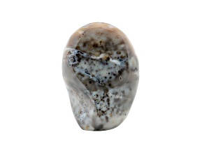 Dendritic Agate Free-Form 6x4in