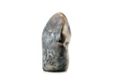 Dendritic Agate Free-Form 6x4in