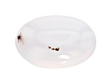 Pink Chalcedony 11x7.7mm Oval Cabochon 2.49ct