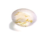 Sillimanite Cat's Eye 11.6x8.5mm Oval Cabochon 6.61ct
