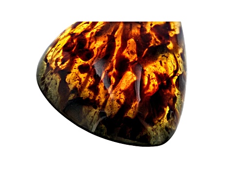 Sumatran Amber 55x35.7mm Free-Form Cabochon 53.75ct