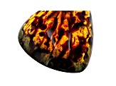 Sumatran Amber 55x35.7mm Free-Form Cabochon 53.75ct