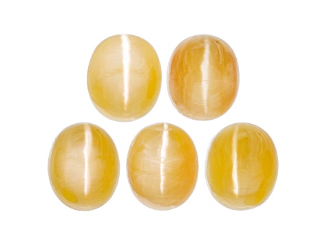 Fire Opal Cat's Eye 7x6mm Oval Set of 5 4.90ctw