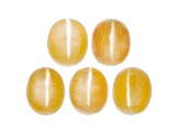 Fire Opal Cat's Eye 7x6mm Oval Set of 5 4.90ctw