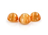 Fire Opal Cat's Eye Round Matched Set of 3 2.87ctw