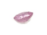 Pink Sapphire Loose Gemstone Unheated 14.22x12.56mm Oval 10.20ct