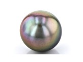 Cultured Tahitian Pearl 12.1mm Round Green and Lavender