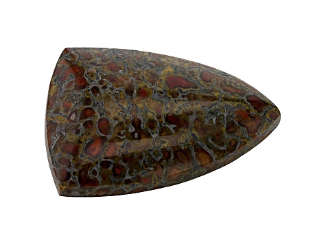 Dinosaur Bone 27x18.5mm Shield Shape Cabochon 19.00ct