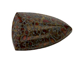 Dinosaur Bone 27x18.5mm Shield Shape Cabochon 19.00ct