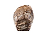 Petrified Wood Free-Form 5.5x4.5in