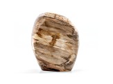 Petrified Wood Free-Form 5.5x4.5in