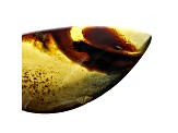 Sumatran Amber 41.5x26.6mm Pear Shape Cabochon 16.08ct