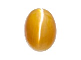 Opal Cat's Eye 8x6mm Oval 1.00ct