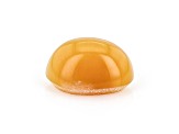 Opal Cat's Eye 8x6mm Oval 1.00ct
