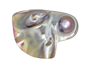 Cultured Saltwater Blister Pearl 48x36mm