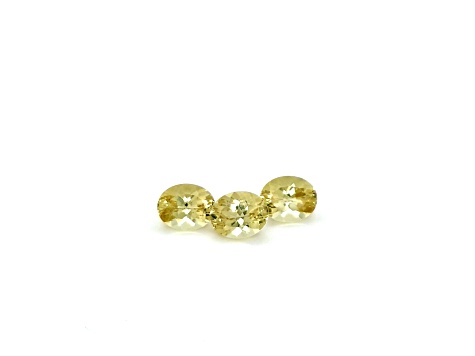 Yellow Apatite 10x8mm Oval Set of 3 8.83ctw