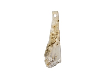 Picture of Oregon Graveyard Point Plume Agate 74x23mm Free-Form Slab Focal Bead