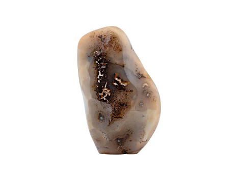 Dendritic Agate Free-Form 7.5x4.0in