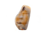 Dendritic Agate Free-Form 7.5x4.0in