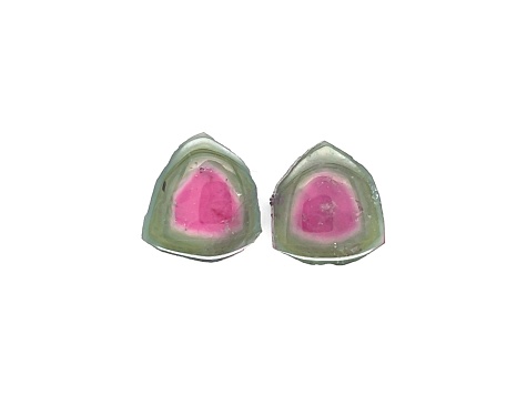 Watermelon Tourmaline 15mm Free-Form Slice Matched Pair 16.78ctw