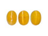 Fire Opal Cat's Eye 7x5mm Oval Set of 3 2.50ctw