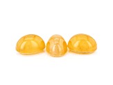 Fire Opal Cat's Eye 7x5mm Oval Set of 3 2.50ctw