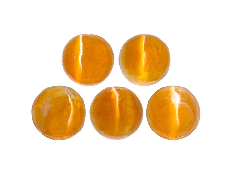 Fire Opal Cat's Eye 5mm Round Set of 5 2.40ctw