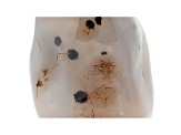 Dendritic Agate Free-Form 5x3in
