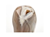 Dendritic Agate Free-Form 5x3in