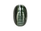 Green Tourmaline Cat's Eye 11.4x7.5mm Oval Cabochon 4.85ct