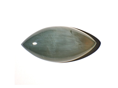 Nephrite Jade Cat's Eye 14.05x7.02mm Marquise Cabochon 2.25ct