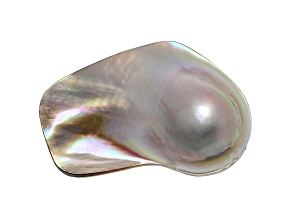 Cultured Saltwater Blister Pearl 46x30mm